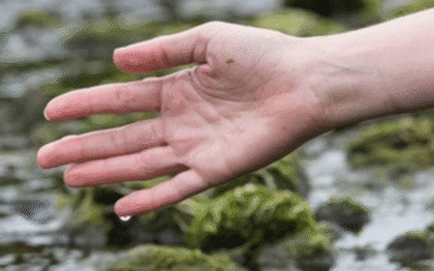 BODIES OF WATER